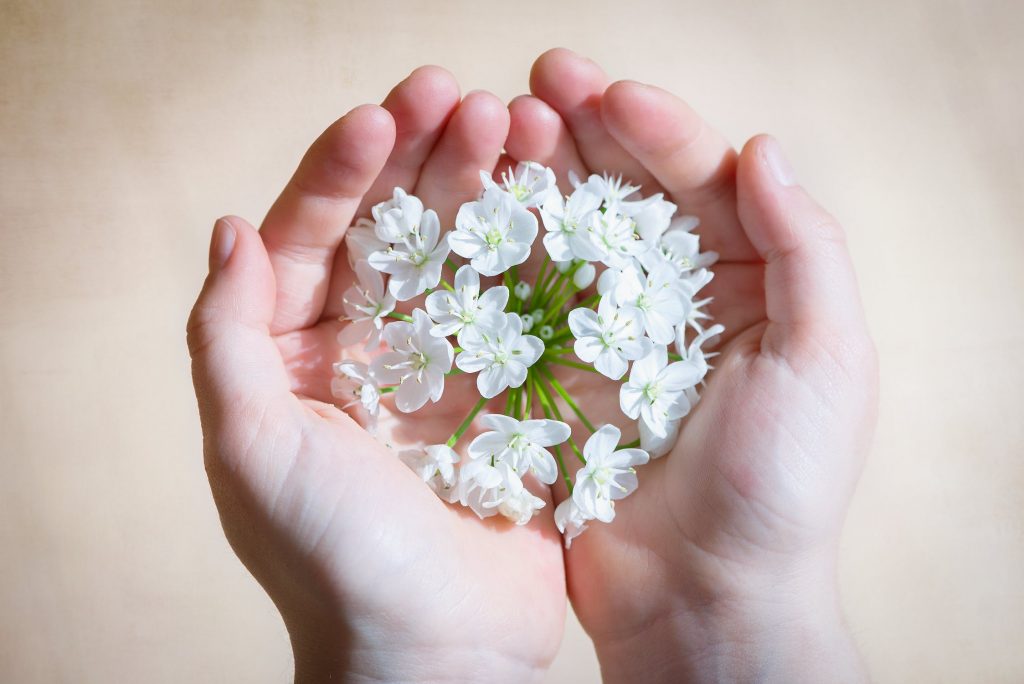 White Flower